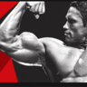 MuscleMeccaCrew